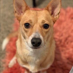 Meet your Posher, Latoya